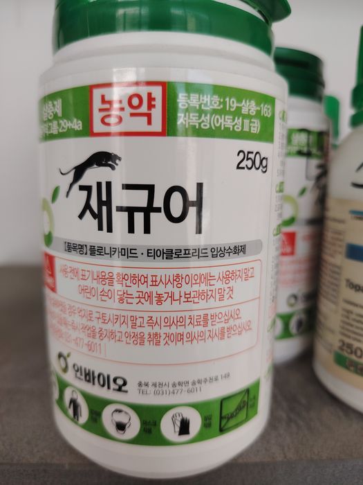 Ягуар Корея махсулоти