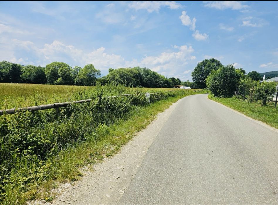 Teren munte ! Cheile  Rasnoavei