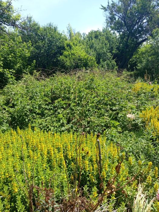 Продам участок….