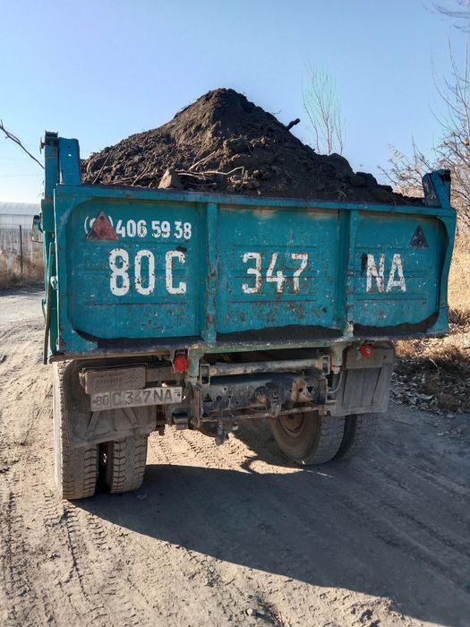 Qum shaĝal gisht musur tashish xizmatlari. Buxoro shaxar va atofida