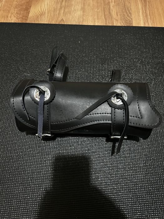 Spatar chopper sissy bar