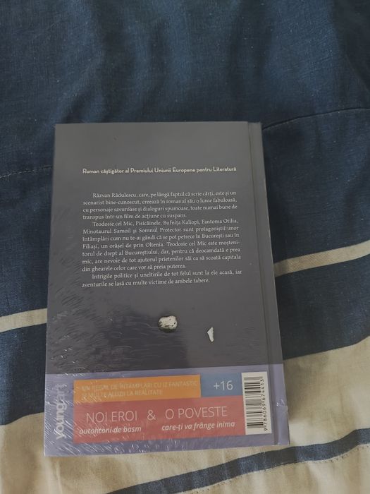 Teodosie Cel Mic de Răzvan Rădulescu