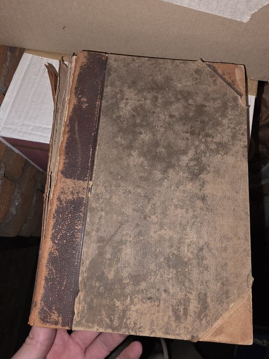 История на Земята Erdgeschichte от Мелхиор Ноймайер 1895