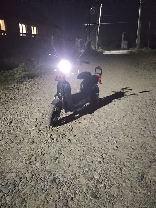 Леопард электровелик