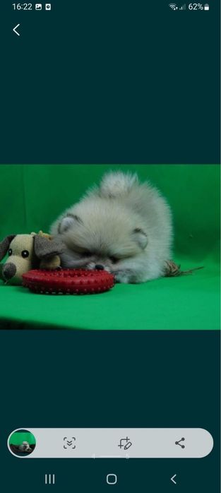 Мальчики и девочки Выввв