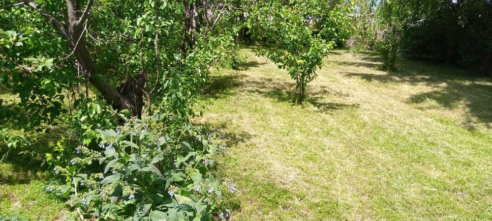 Продам дом  с участком 12 соток