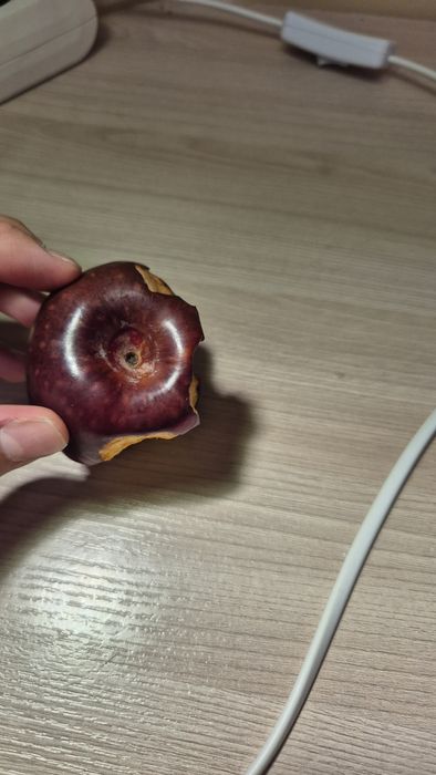 огрызок яблока (погрызан)