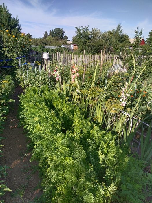 Продам дачу, в районе Пригородны, Черемушки