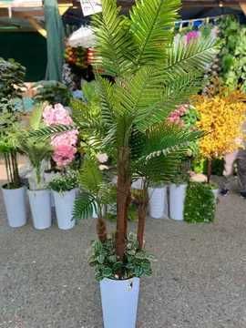 Офис учун дарахт | Ofis uchun daraxt