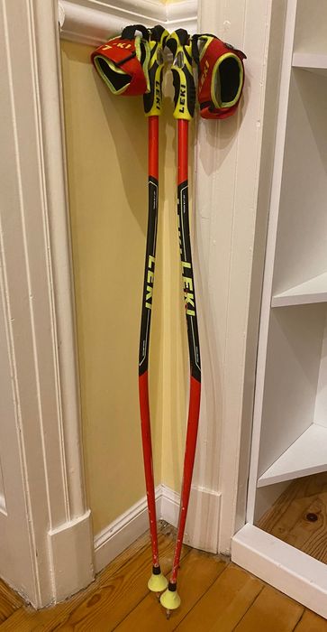 Състезателни ски GS, oбувки FISCHER, протектор за гръб Icetools