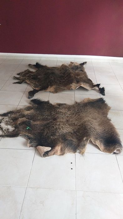 Piei de mistret două bucăți de anul trecut