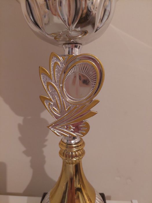 Кубок призовой 20000