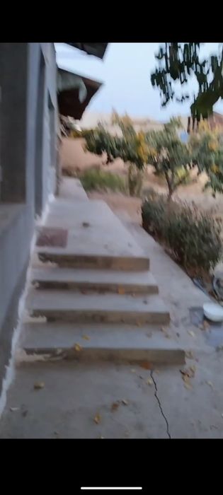 Arenda vrimanka havli beriladi