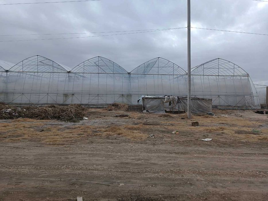 Zamonaviy tipdagi issiqxona