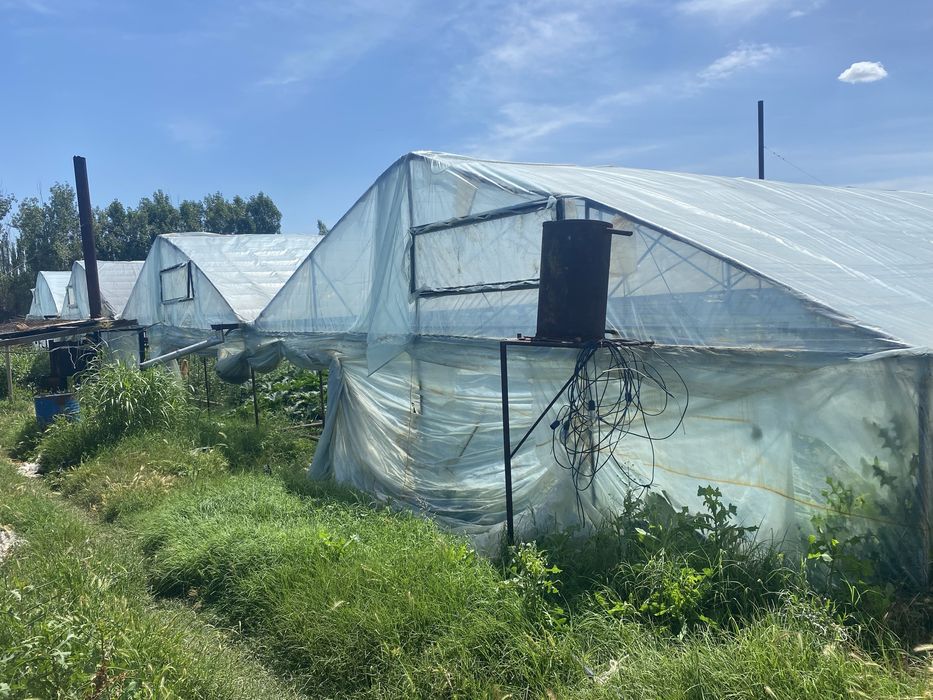 Продажа действущий теплицы