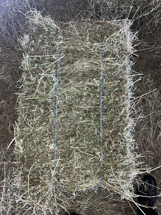 Baloți  de paie si lucerna