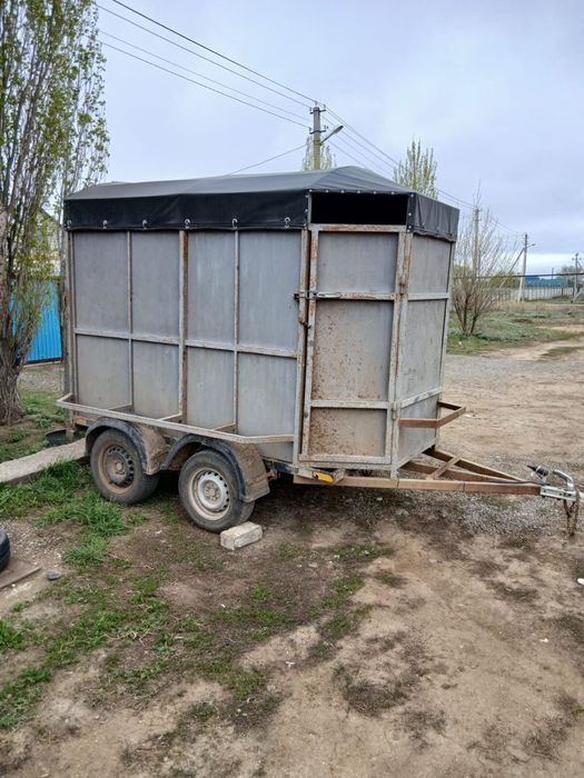 Прицеп, коневозка сатамын