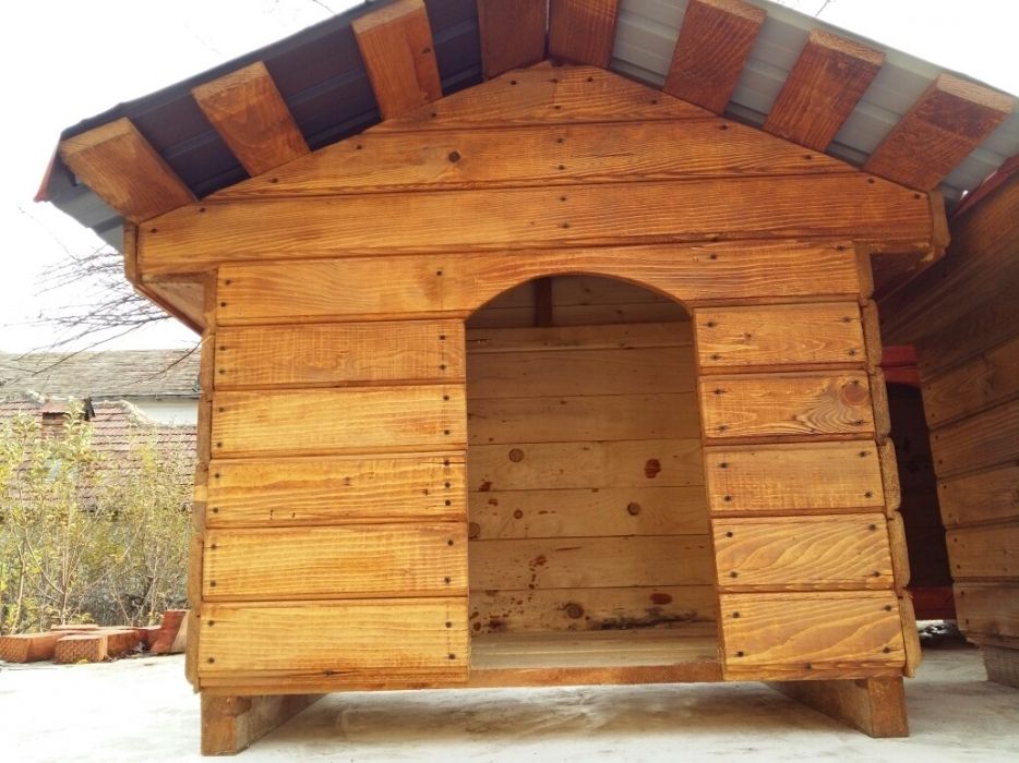 Cusca caine(diferite marimi)