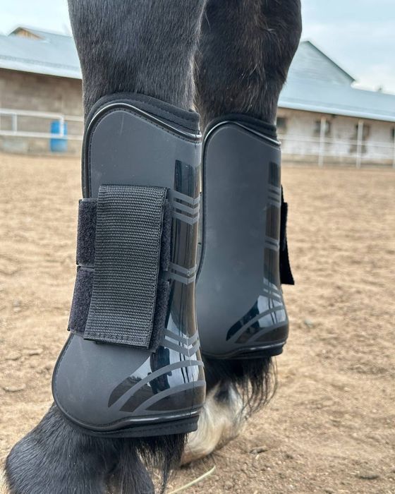 Ногавки  щетки для лошадей