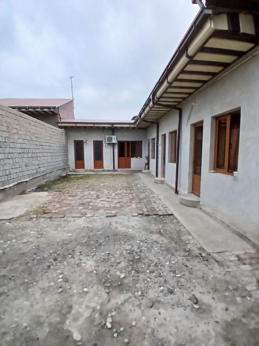 Уй сотилади корасув племсавгозда