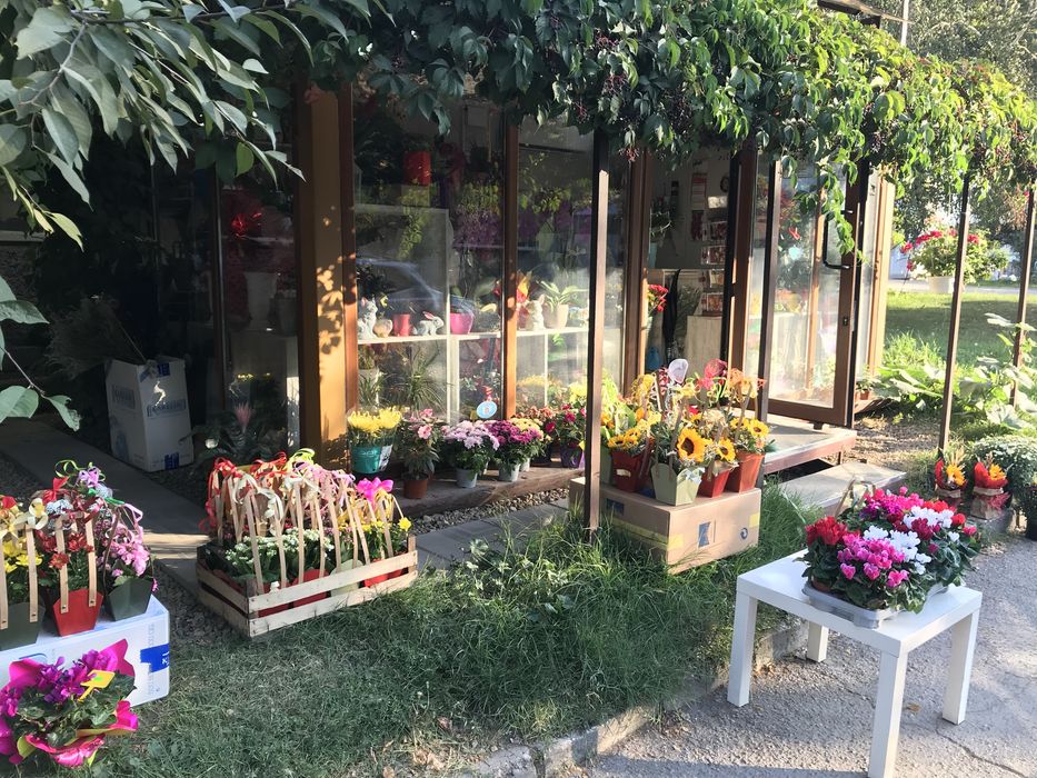 Цветарски магазин Топ локация