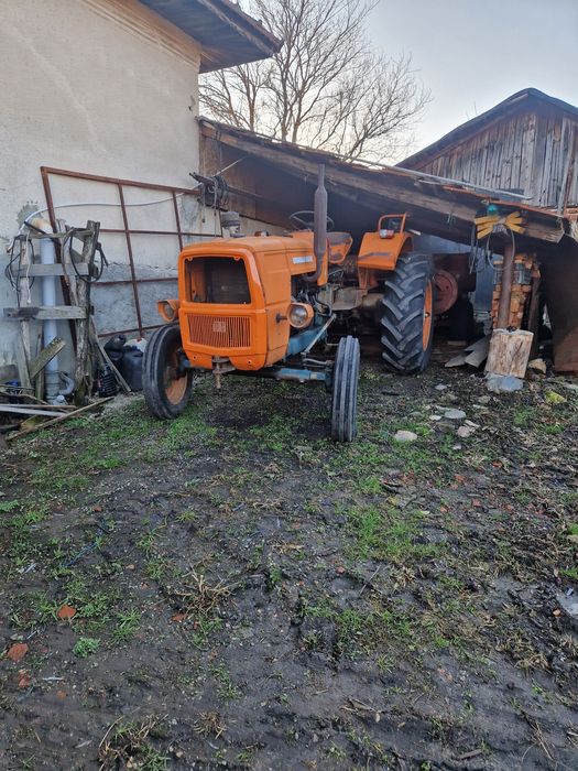 Vaci baltata românească