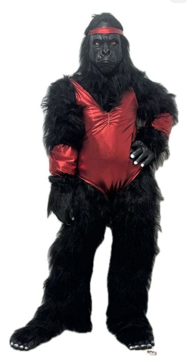 Мишка Тедди зайка девушка | 24/7 |