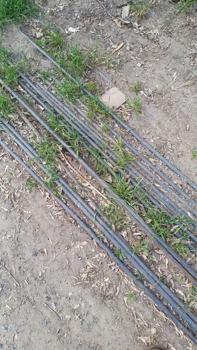 Катанка 6000 тенге за штуку