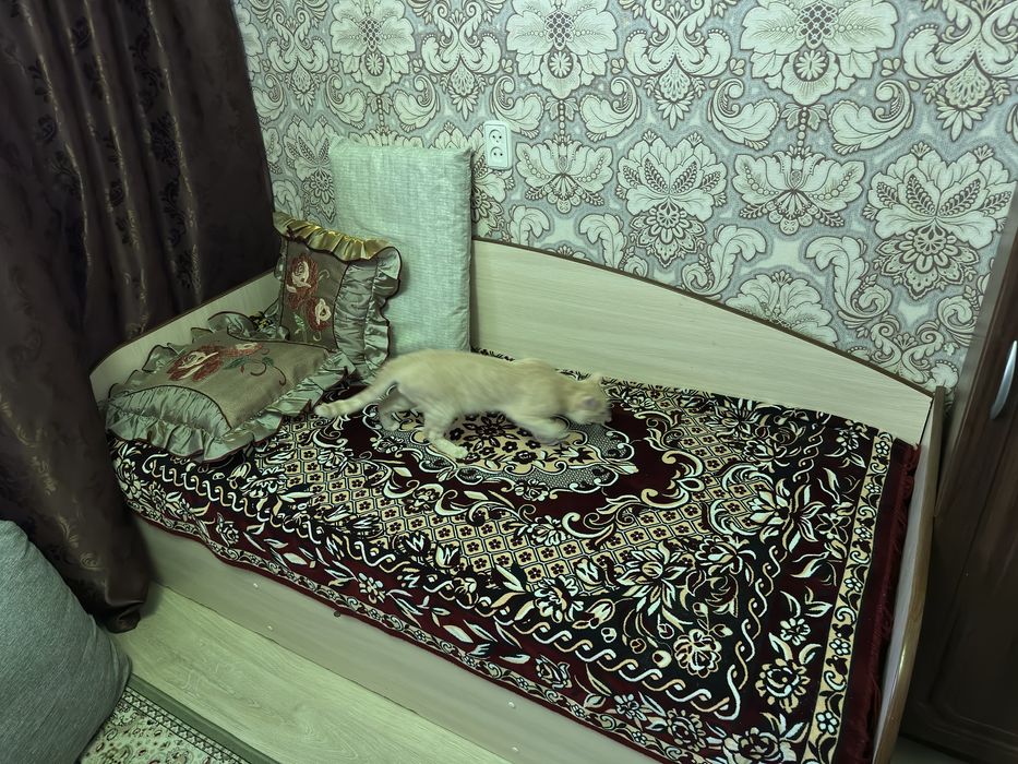 Кровать односпальная