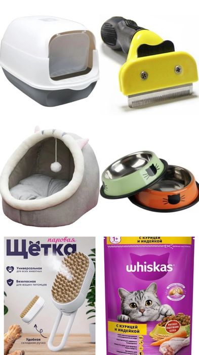Продается кот!       Еркек  мысық сатылады!