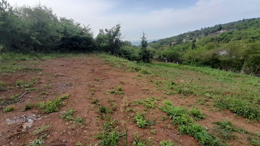 Панорамен парцел