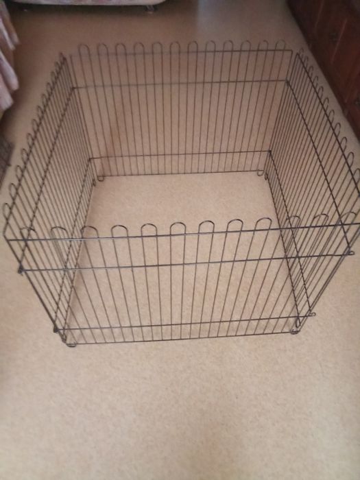 Зоотовары для животных