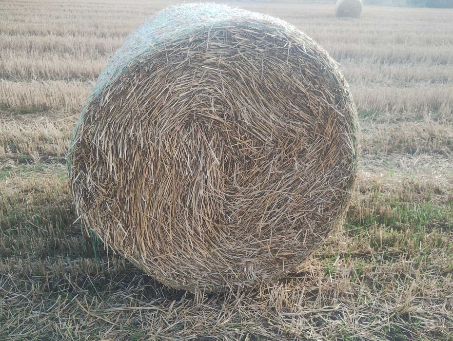 Baloți rotunzi de paie 120