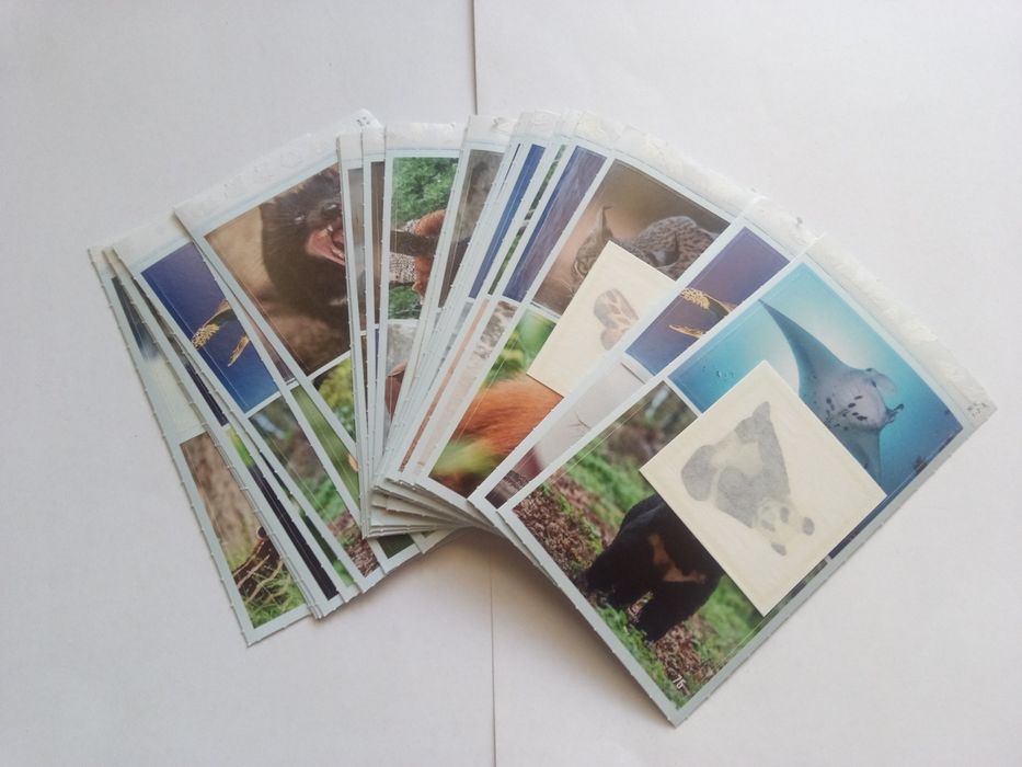 Билла стикери 64 броя + 11 татуировки