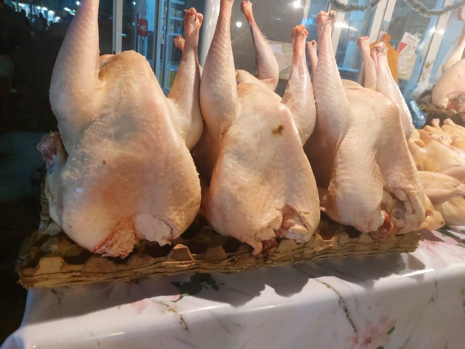 Тушка домашней индейки (индюк/ мясо), (живой/ порезанный)