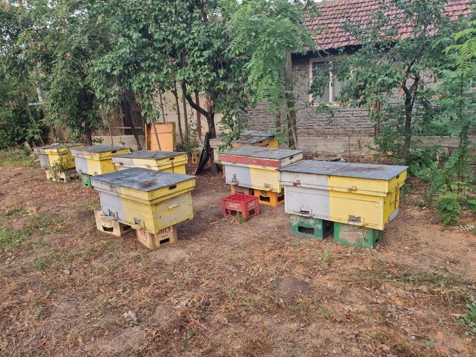 Stupi de vanzare