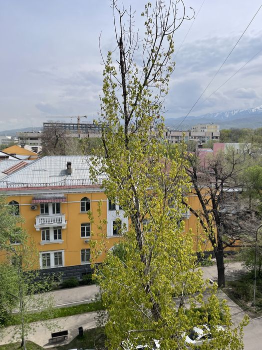 Сдам кушетку на долгий срок