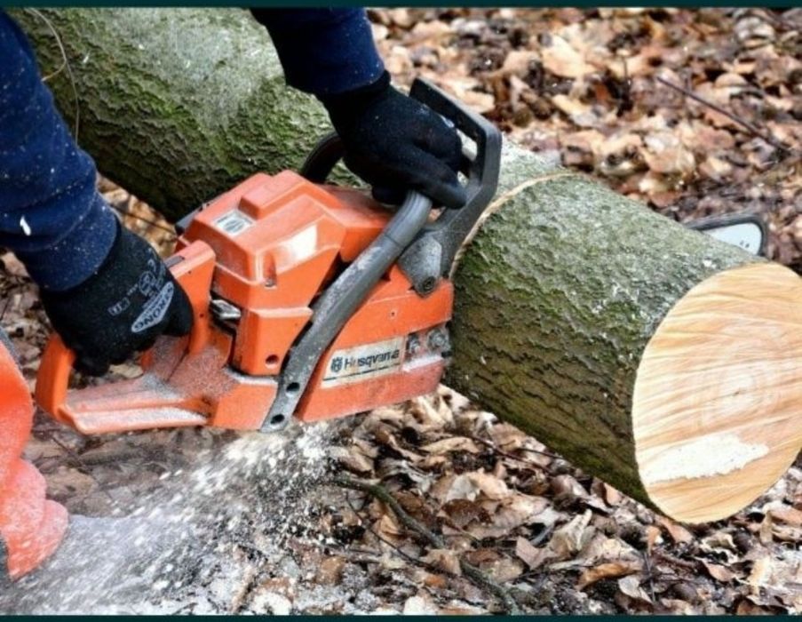 Cosesc ,tund iarba-gazon-buruieni,taieri pomi,etc