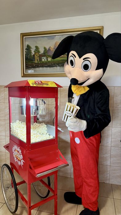 Tobogane de inchiriat