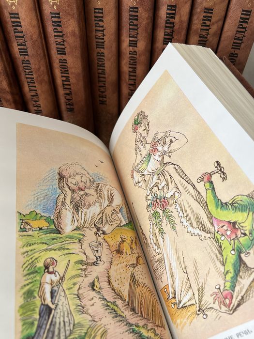 Книги. Салтыков-Щедрин.