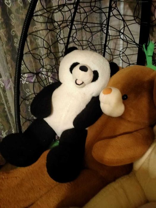 Метровые медведи