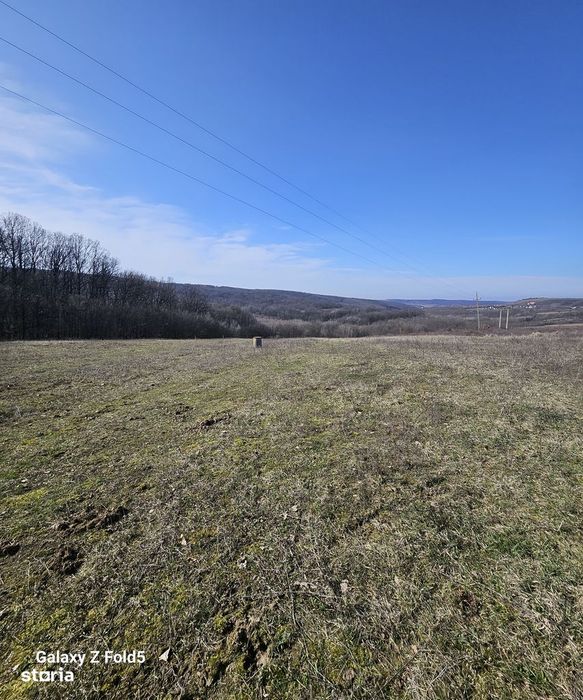 Teren Hidișelul de Sus | 10.600 mp | Ideal investiție turistică |
