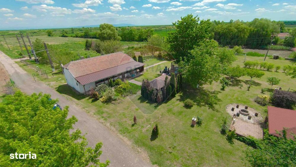 De vânzare fermă multifuncțională, teren 53883 mp - Salonta