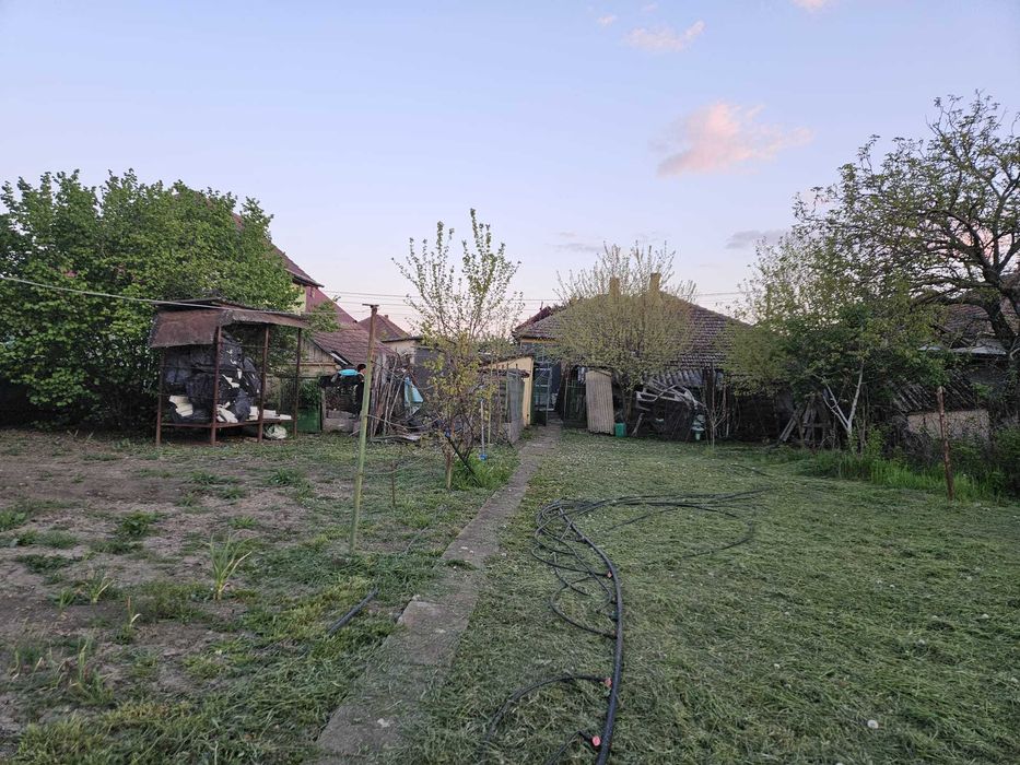 Casă + Anexe și Teren Generos în Sânleani (Livada) – Strada Principală