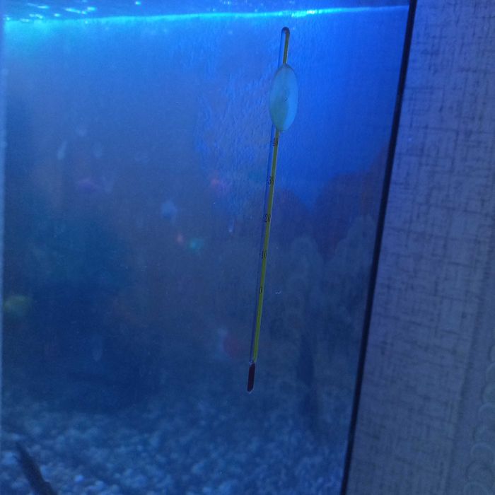 Akvarium  ichida 16 ta turli baliq va 2 xil kuchli filterlari bilan