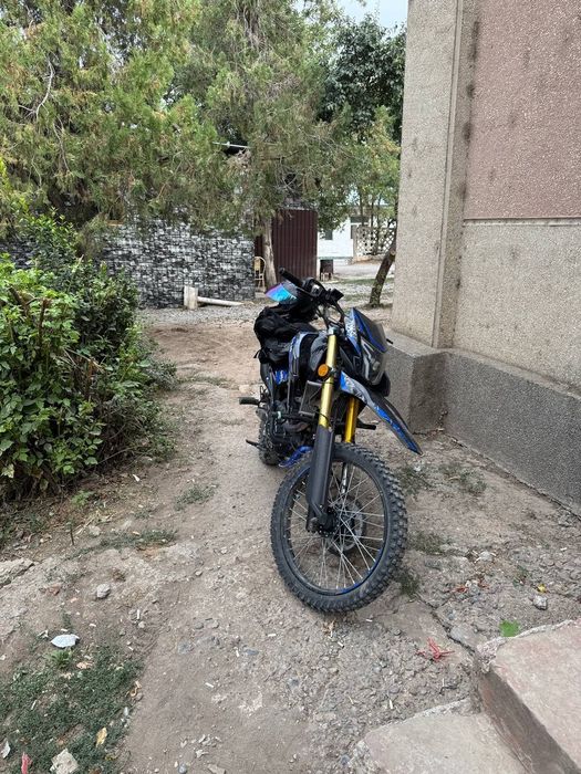 В продаже Ular b1