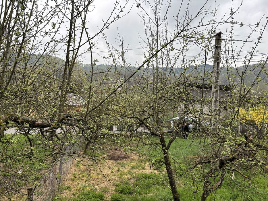 Vand casa si teren in Rau alb