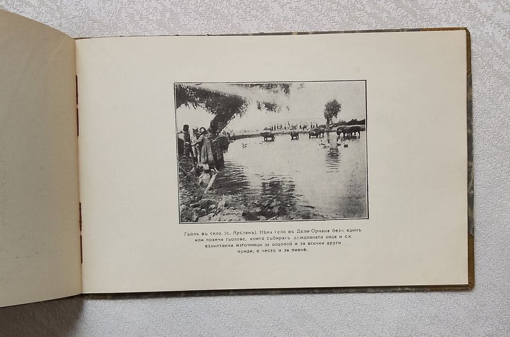 Дали - Ормана в картини. Фотографически снимки