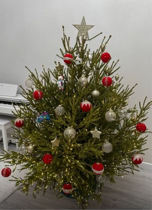 Новогодние Ели, Сосны, Пихта