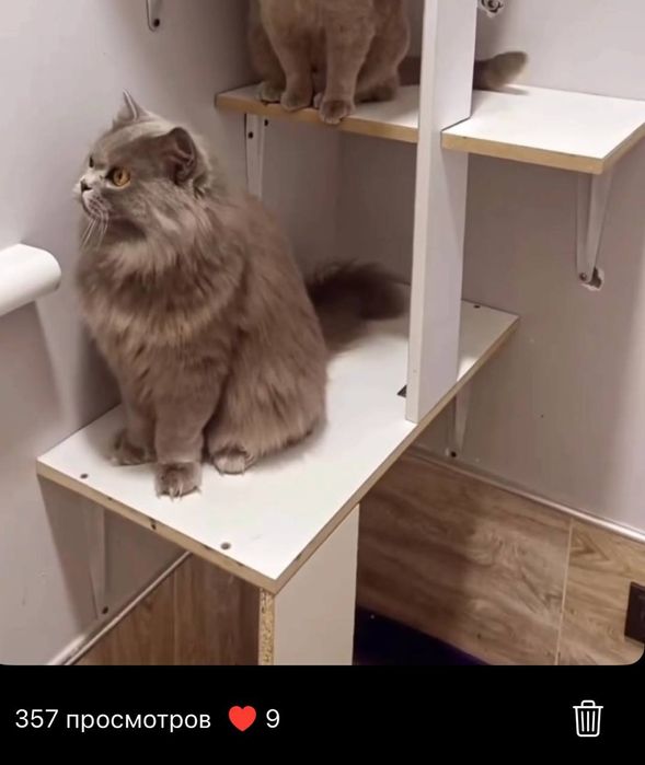 Британец  продаётся